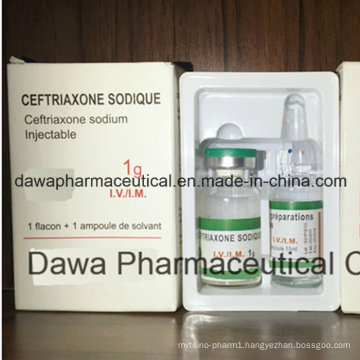 OEM Finished Medicine Pneumonia Treatment 0.25g Ceftriaxone for Injection